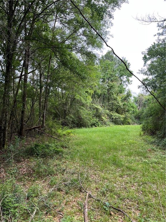 21221 Hwy 1057 Highway, Kentwood, Louisiana image 18