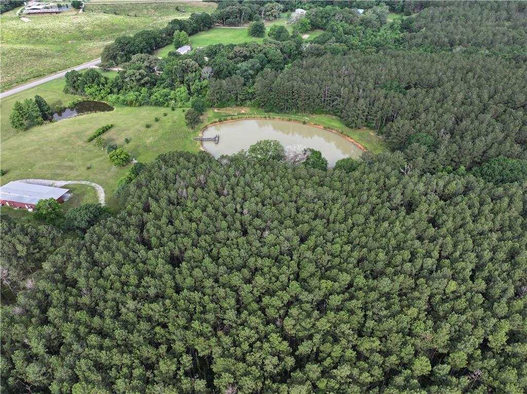 21221 Hwy 1057 Highway, Kentwood, Louisiana image 21