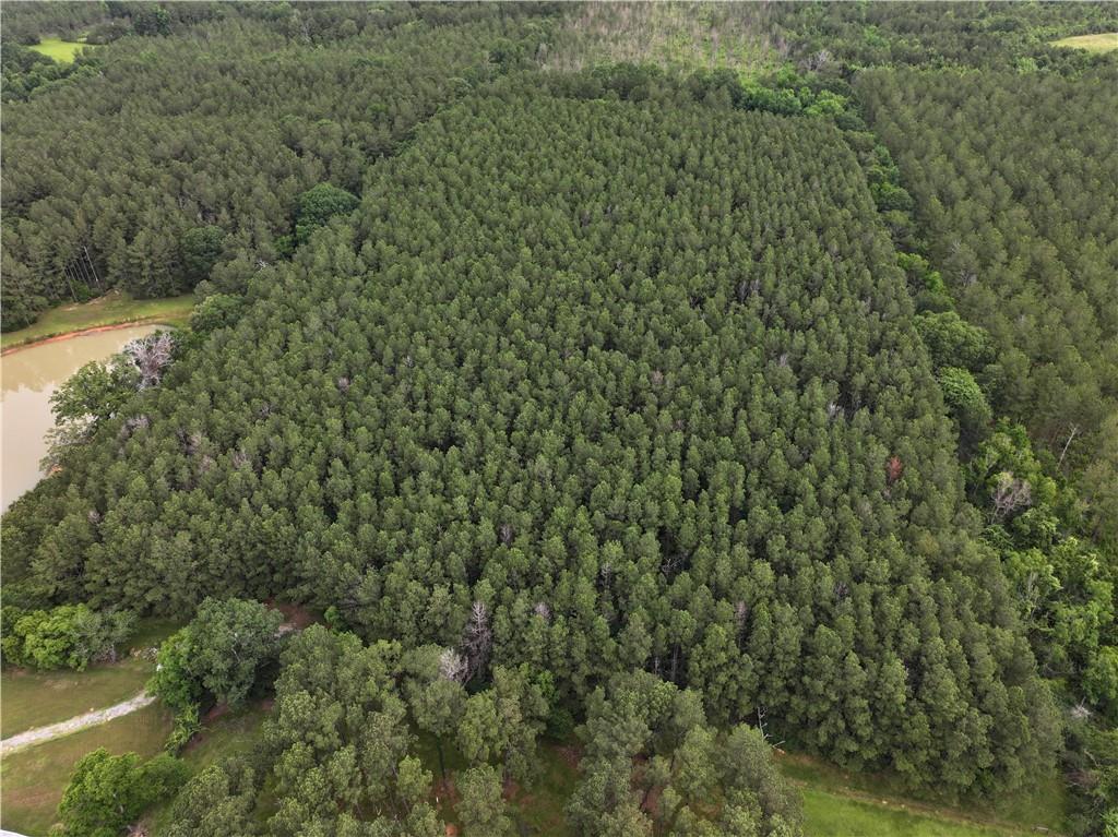 21221 Hwy 1057 Highway, Kentwood, Louisiana image 23