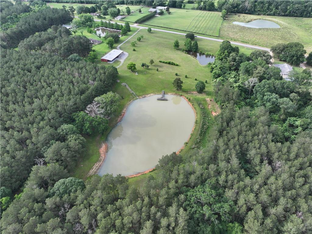 21221 Hwy 1057 Highway, Kentwood, Louisiana image 28