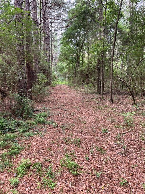21221 Hwy 1057 Highway, Kentwood, Louisiana image 37