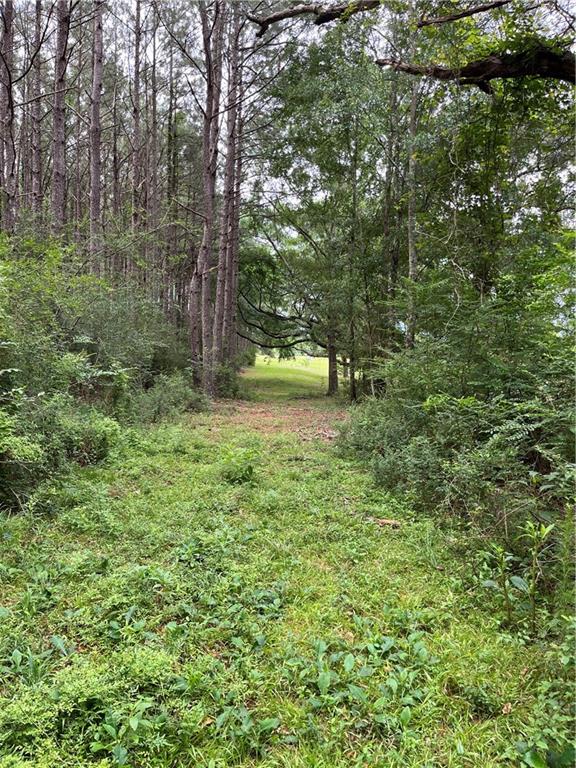 21221 Hwy 1057 Highway, Kentwood, Louisiana image 38