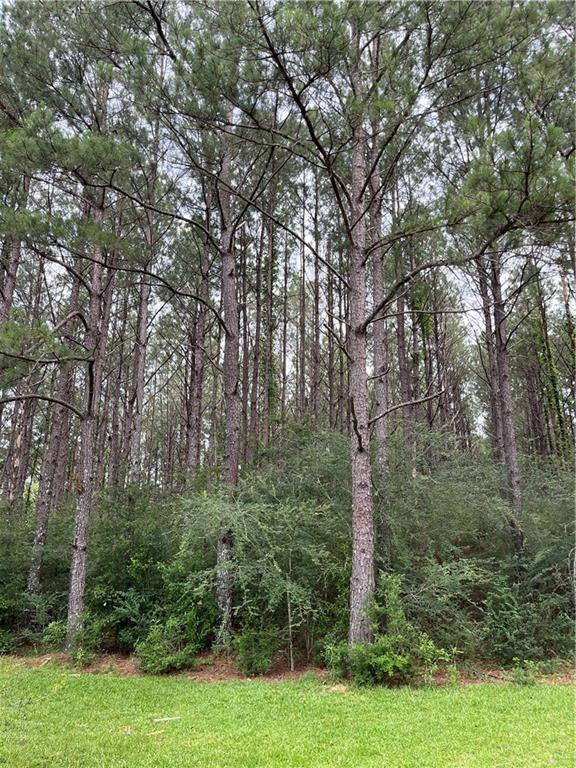 21221 Hwy 1057 Highway, Kentwood, Louisiana image 9
