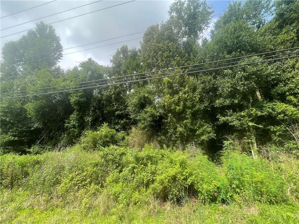 69337 La Hwy 1077 Highway, Madisonville, Louisiana image 1