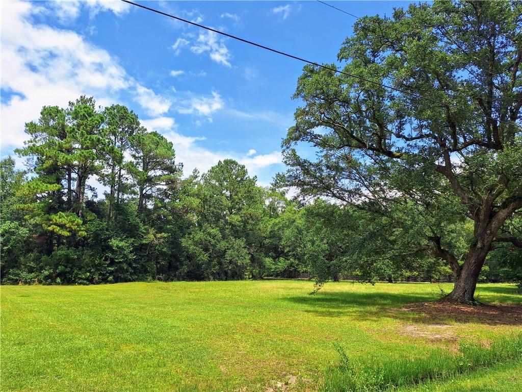 Louand Road, Lacombe, Louisiana image 1