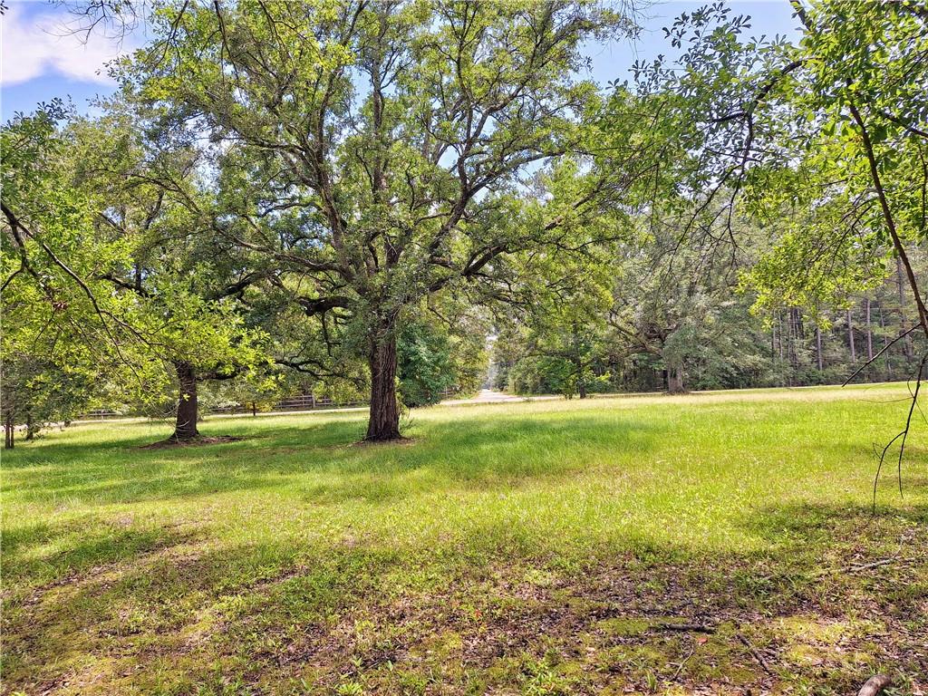 Louand Road, Lacombe, Louisiana image 4