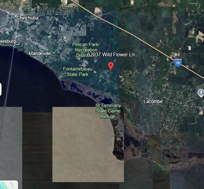 Louand Road, Lacombe, Louisiana image 6