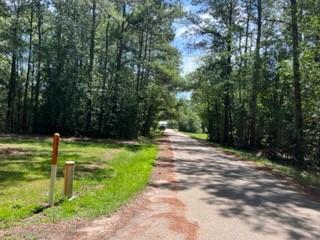 Browns Road, Folsom, Louisiana image 1