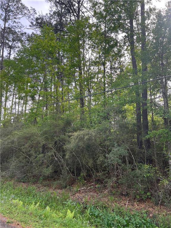 Maria Drive, Lacombe, Louisiana image 15