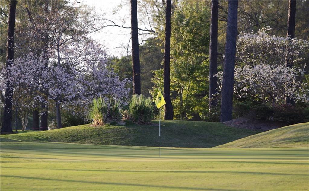 Lots for Sale Money Hill