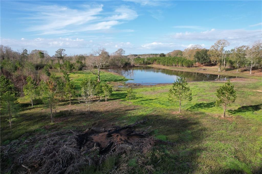 11.26 Acres Simmons Road, Franklinton, Louisiana image 6