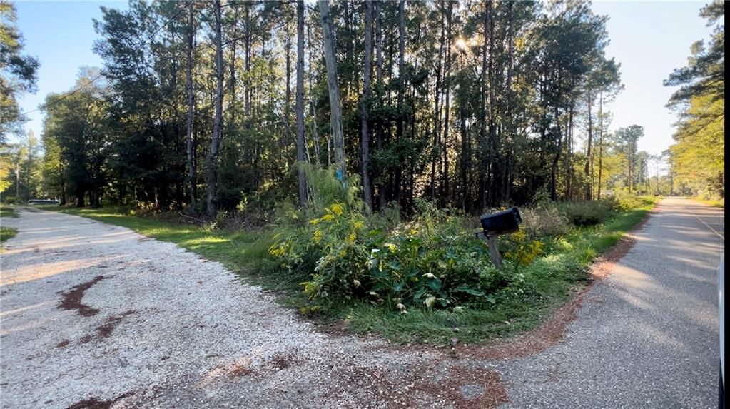 Rheusaw Crawford Road, Pearl River, Louisiana image 4