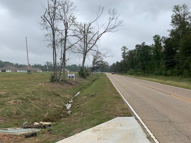 Highway 22 & 445 Highway, Ponchatoula, Louisiana image 9