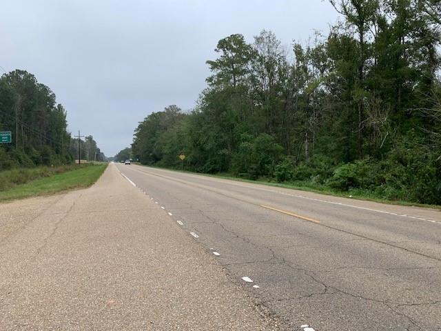 Holmes Lane, Robert, Louisiana image 3