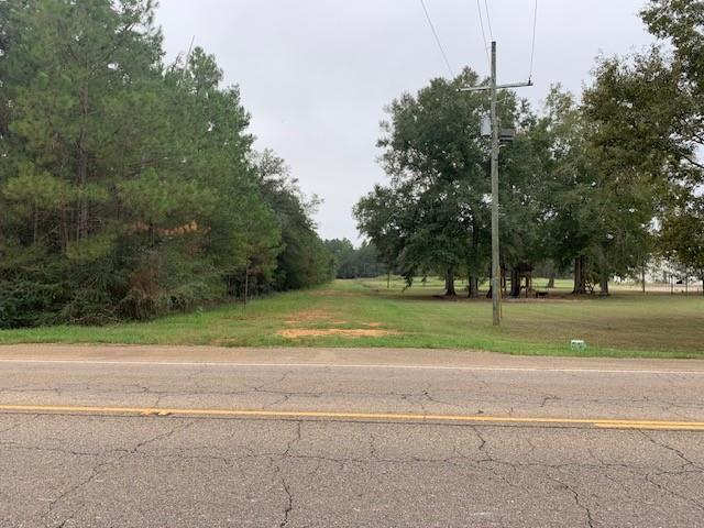 Holmes Lane, Robert, Louisiana image 5