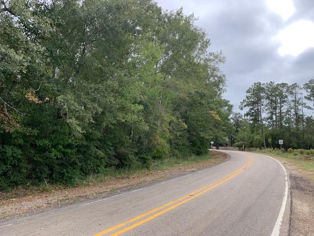 Old Covington Hwy 1067 Highway, Hammond, Louisiana image 2