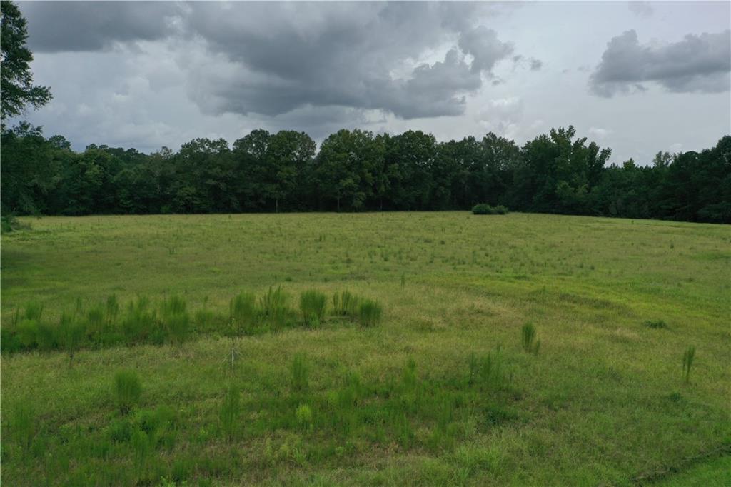 29000 Stein Road, Sun, Louisiana image 36