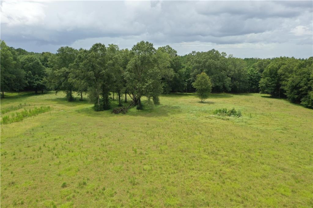 29000 Stein Road, Sun, Louisiana image 4