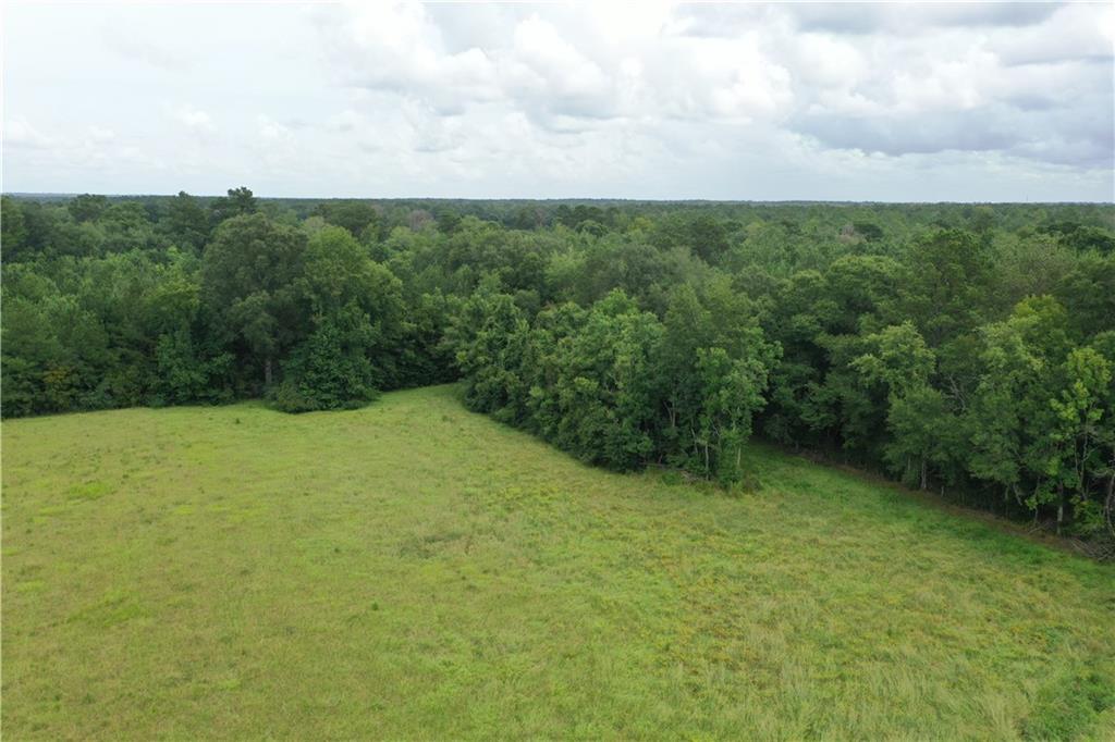 29000 Stein Road, Sun, Louisiana image 8