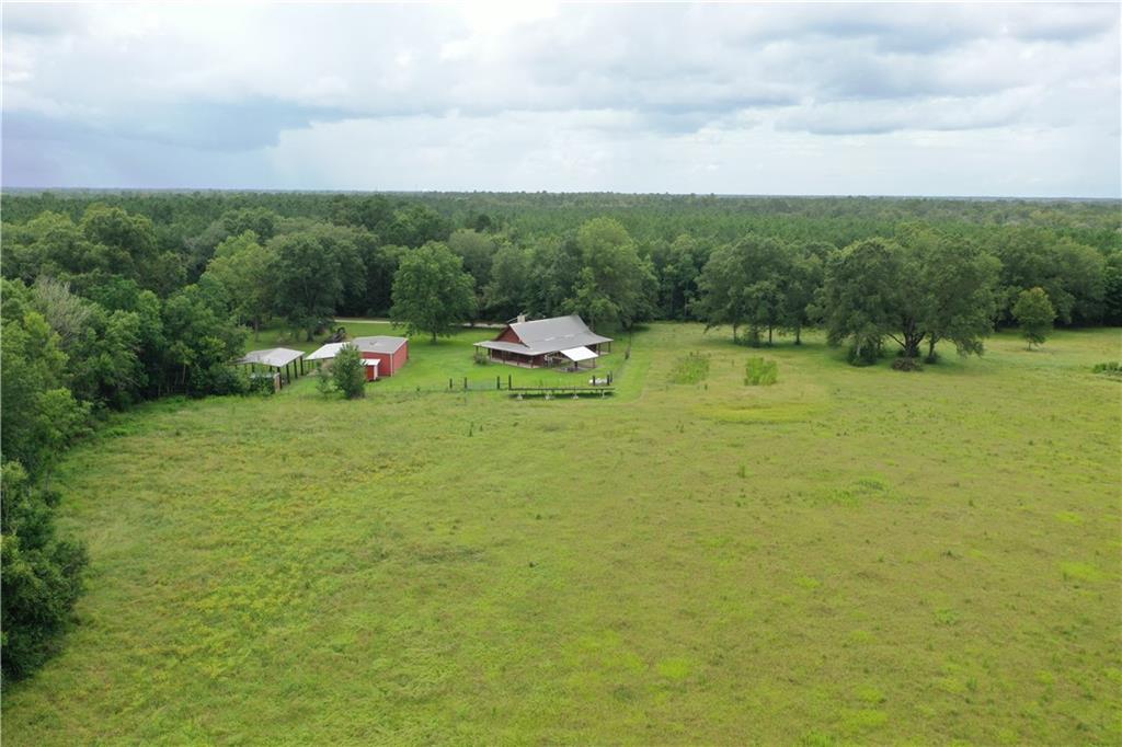 29000 Stein Road, Sun, Louisiana image 9