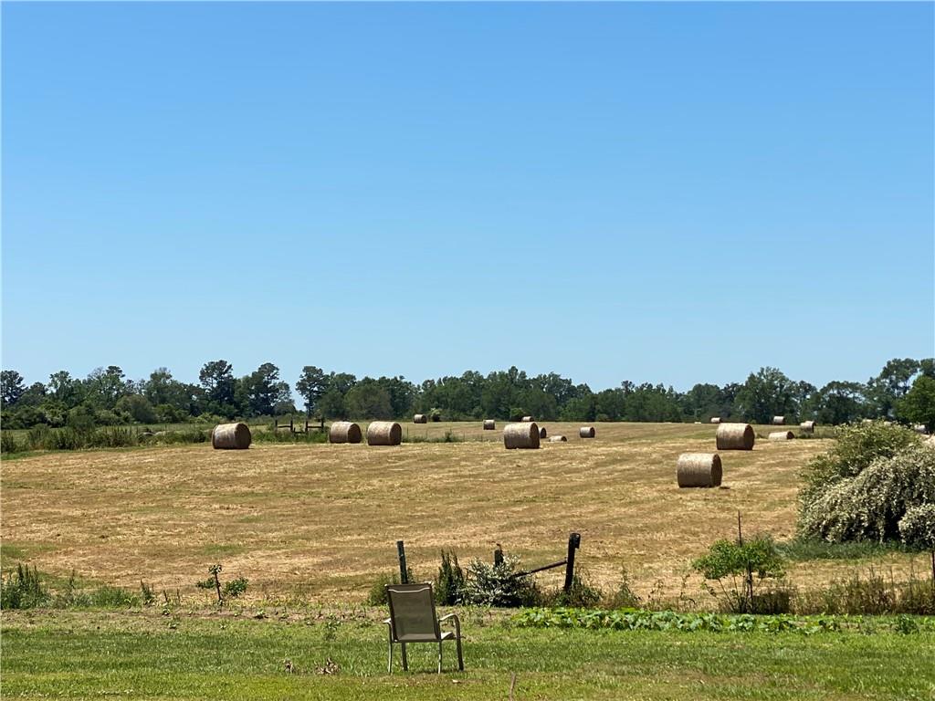 000 Hwy 1046, Amite, Louisiana image 3