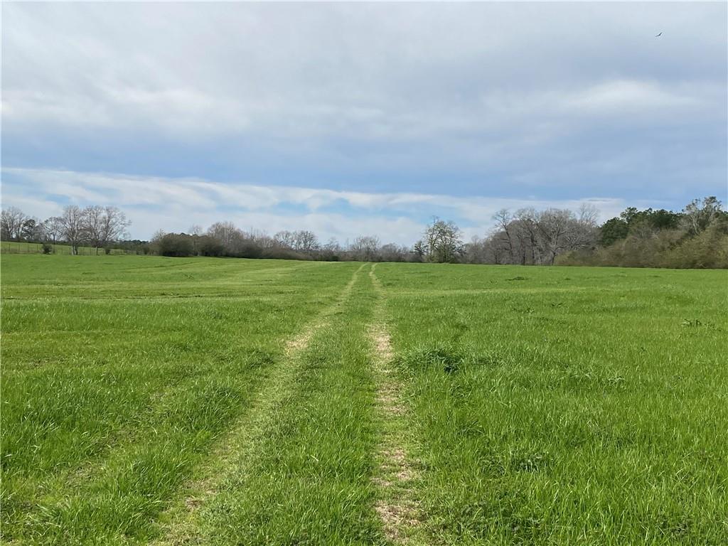 000 Hwy 1046, Amite, Louisiana image 9