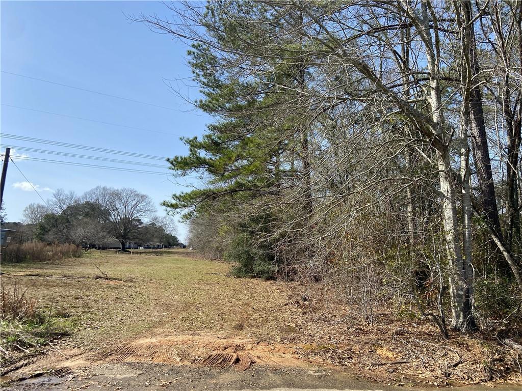 Lowery Lane, Amite, Louisiana image 2