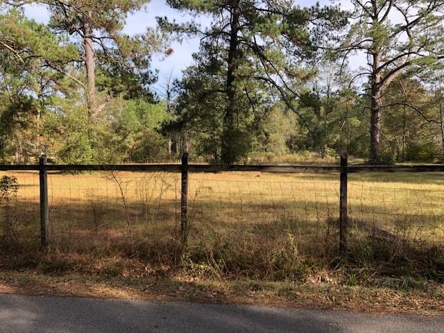 Parcel A Elliot Road, Bush, Louisiana image 1