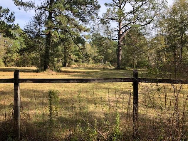 Parcel A Elliot Road, Bush, Louisiana image 2