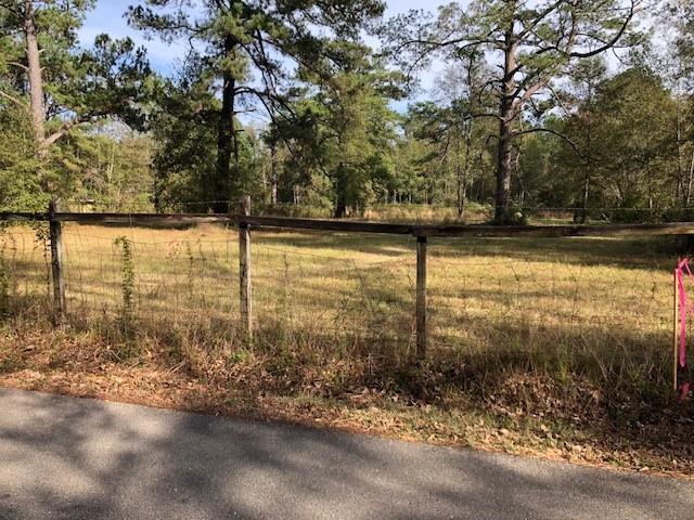 Parcel A Elliot Road, Bush, Louisiana image 4