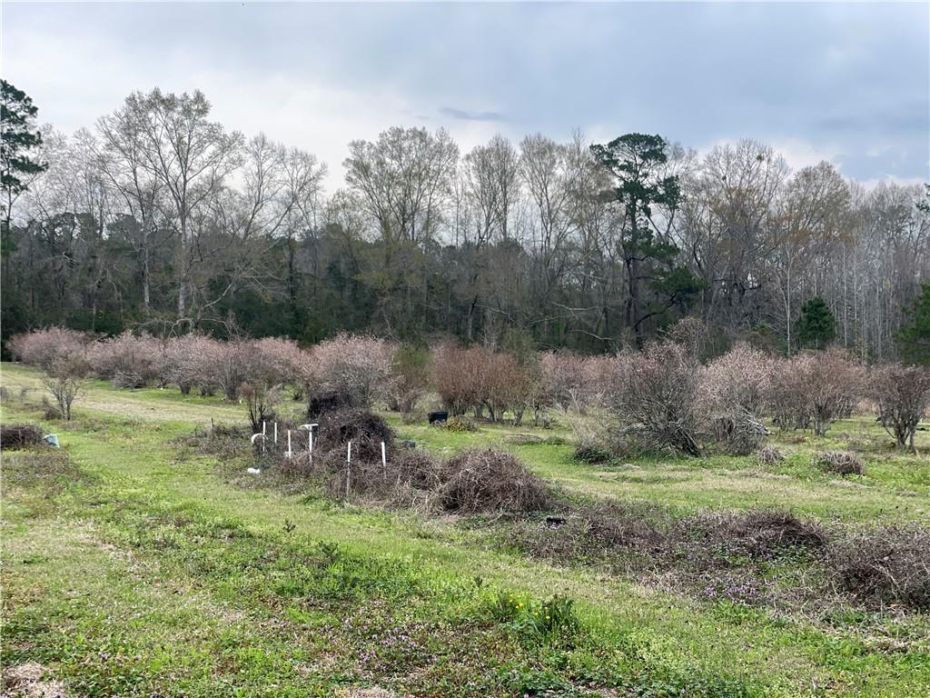 19149 Hodges Road, Franklinton, Louisiana image 12