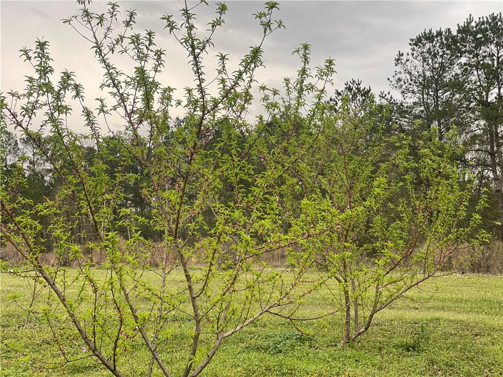 19149 Hodges Road, Franklinton, Louisiana image 15