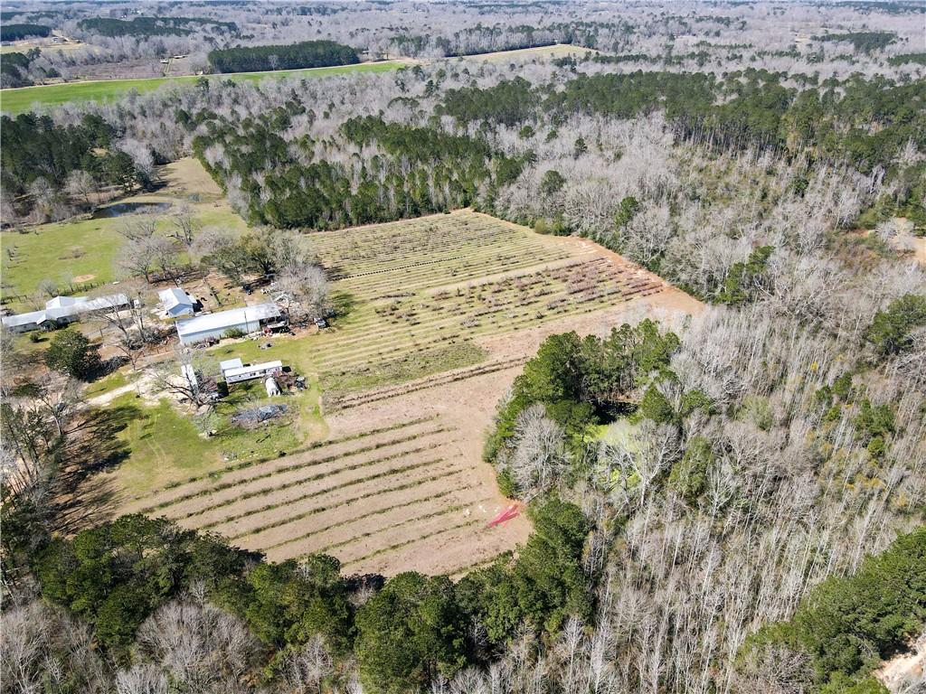 19149 Hodges Road, Franklinton, Louisiana image 5