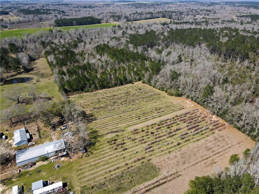 19149 Hodges Road, Franklinton, Louisiana image 6