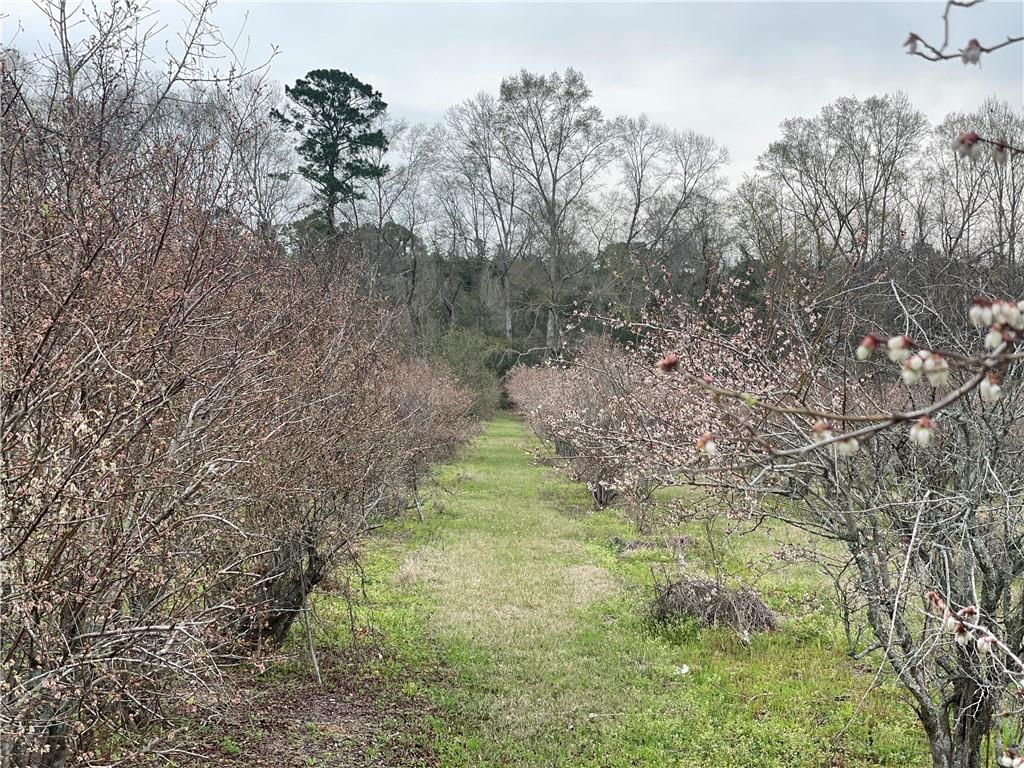 19149 Hodges Road, Franklinton, Louisiana image 9