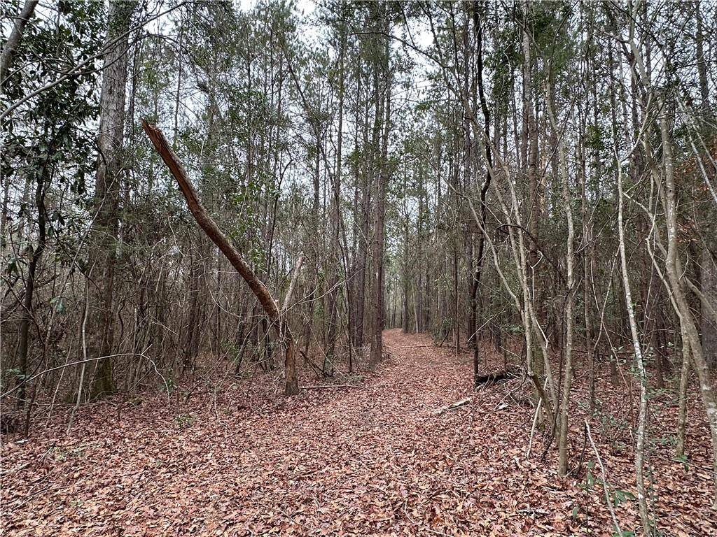 21263 Highway 40 Highway, Bush, Louisiana image 9