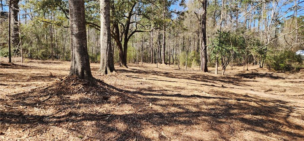 Lot 102 Bleu Lake Drive, Covington, Louisiana image 1