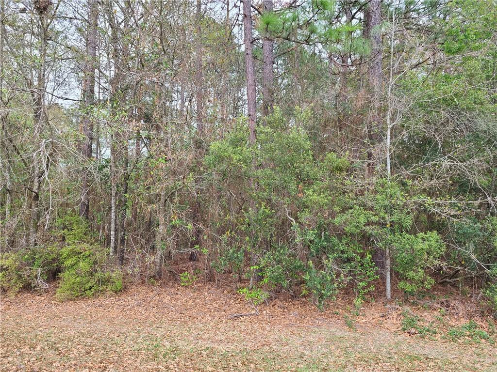 Pinecrest Drive, Carriere, Mississippi image 6