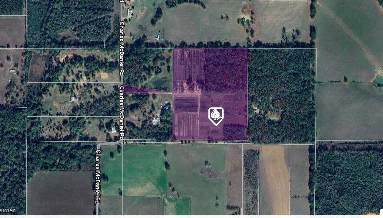 31.24 Acres Charles Mcdaniel Road, Kentwood, LA 70444