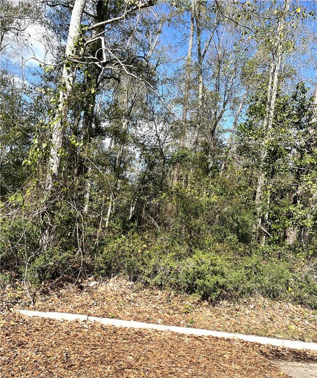 General Pershing Street, Mandeville, Louisiana image 1