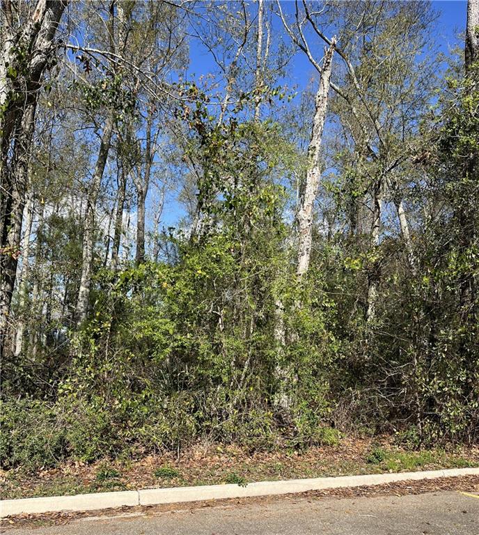 General Pershing Street, Mandeville, Louisiana image 2