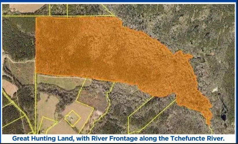 200+ Acres Vacant Land, Kentwood, Louisiana image 1