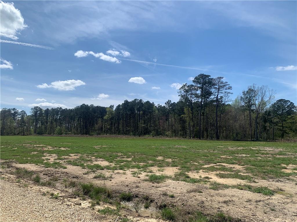 24755 Highway 442 (lot A-3) Highway, Independence, Louisiana image 11