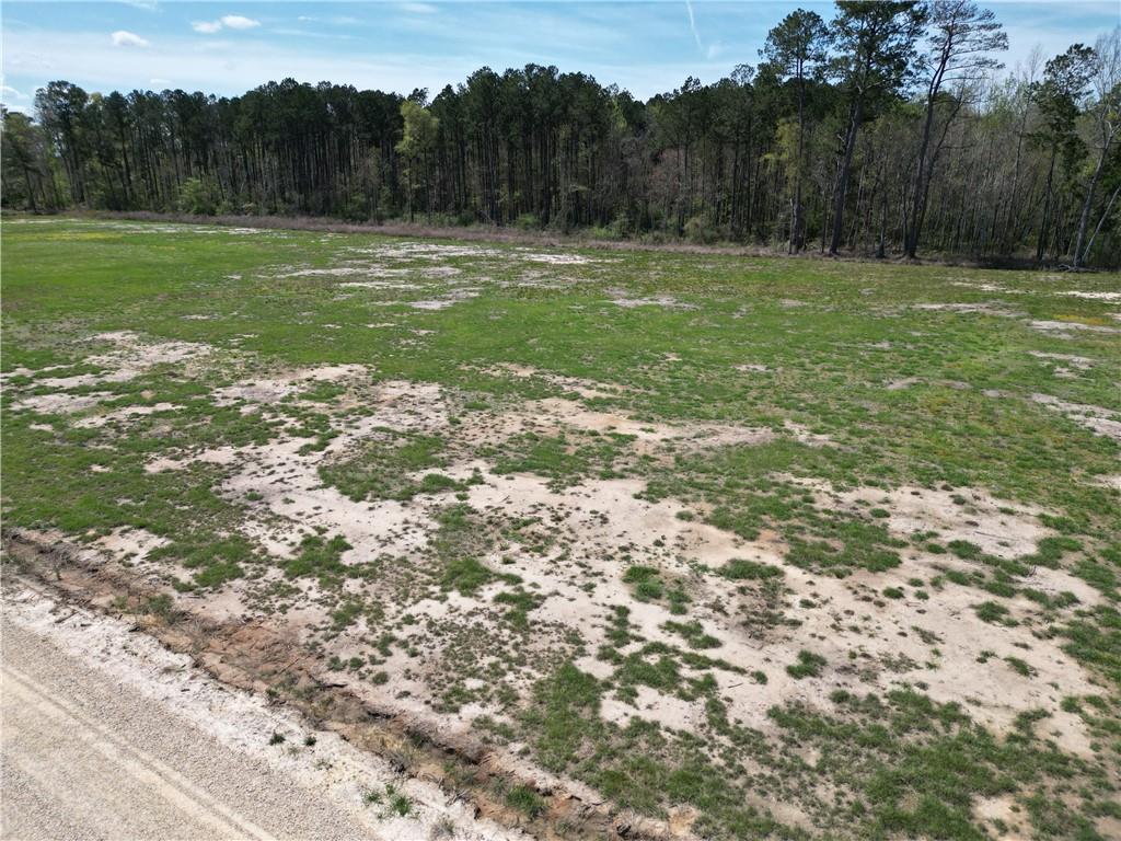 24755 Highway 442 (lot A-3) Highway, Independence, Louisiana image 12