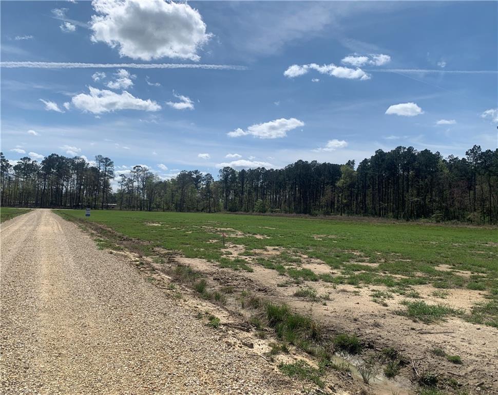 24755 Highway 442 (lot A-3) Highway, Independence, Louisiana image 13