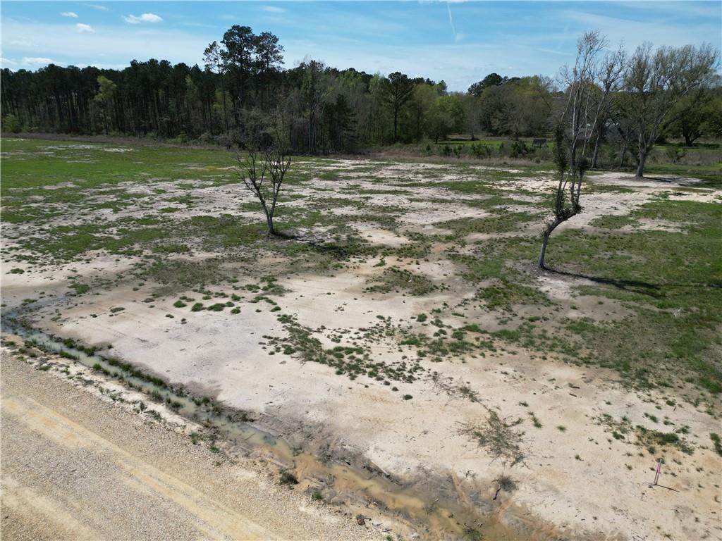 24755 Highway 442 (lot A-3) Highway, Independence, Louisiana image 5