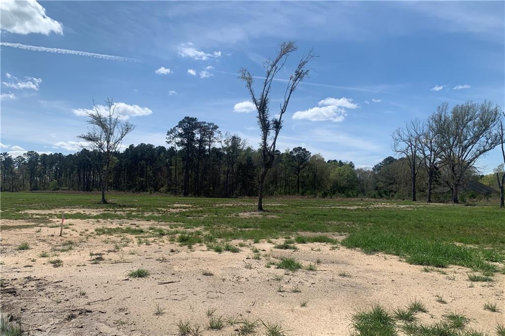 24755 Highway 442 (lot A-3) Highway, Independence, Louisiana image 6