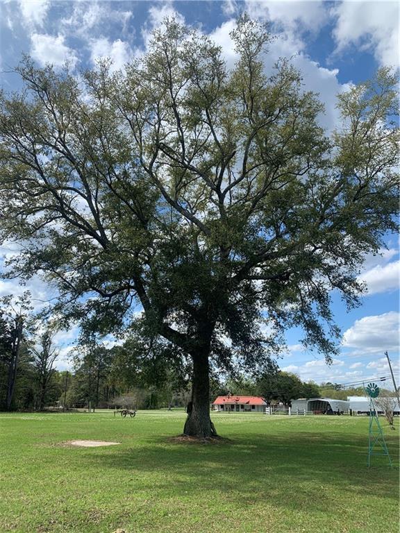 TBD N James Chapel Road, Holden, Louisiana image 11