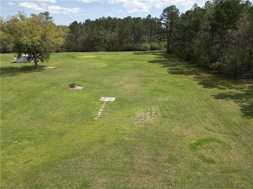 TBD N James Chapel Road, Holden, Louisiana image 8