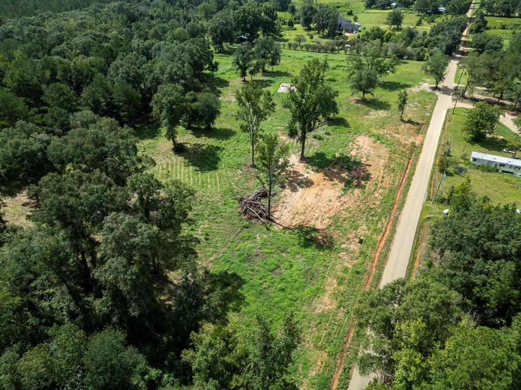 Tract 8 Cyprian Vacant Land Road, Loranger, Louisiana image 3